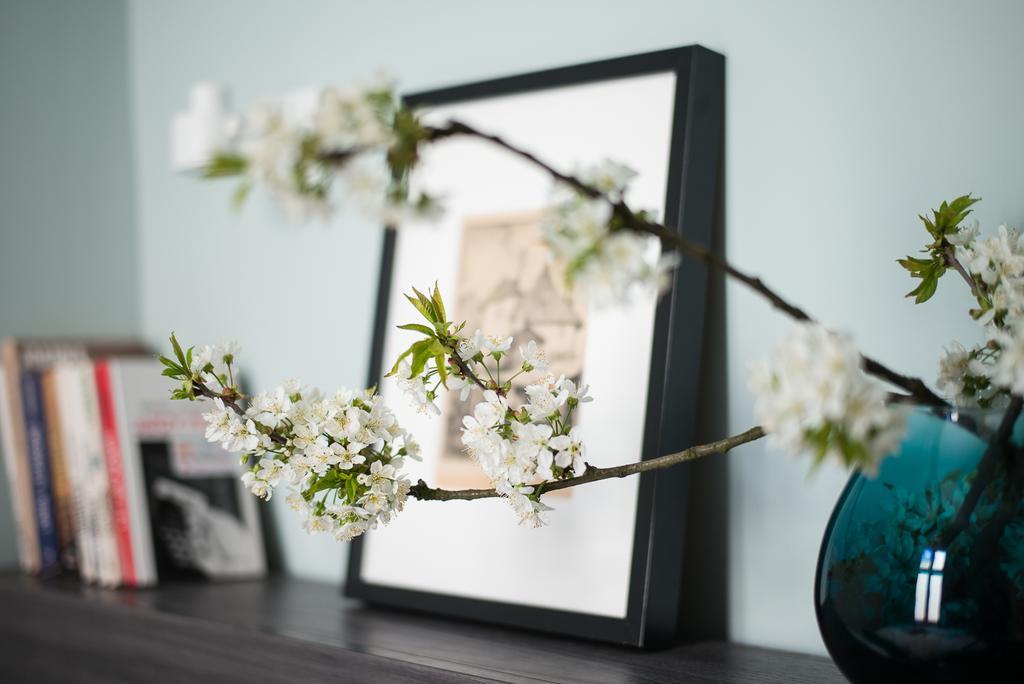 Apartament Paulove Krakkó Kültér fotó