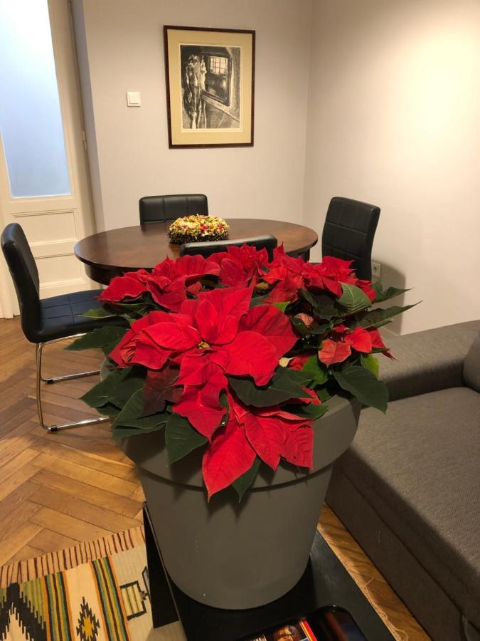 Apartament Paulove Krakkó Kültér fotó